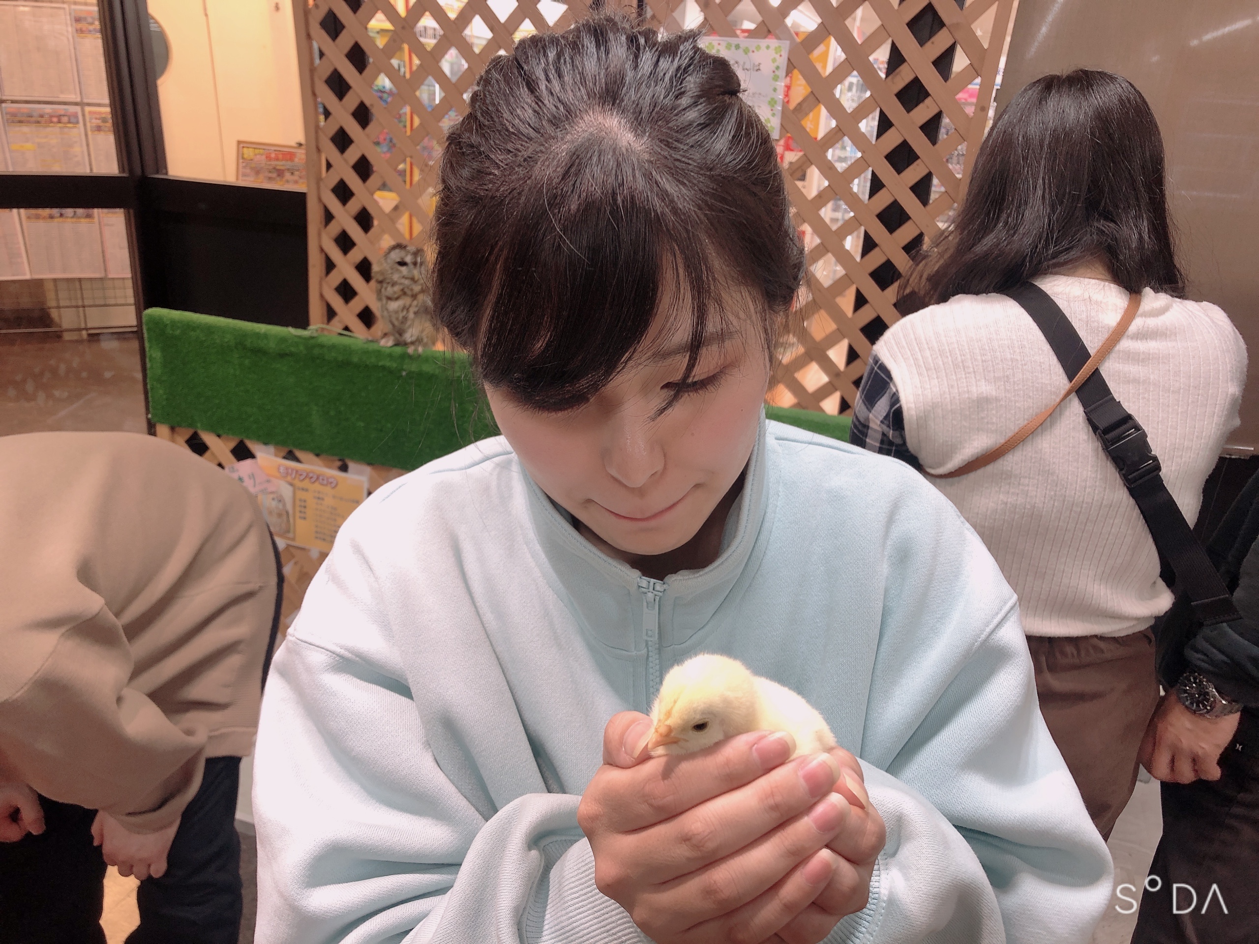 はなさか