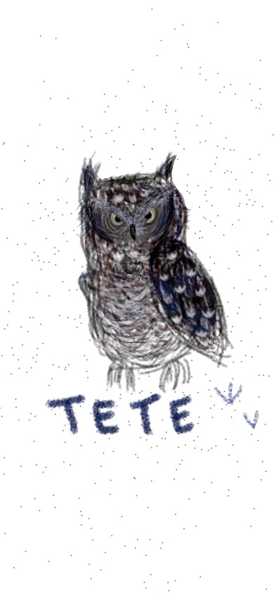 TETE