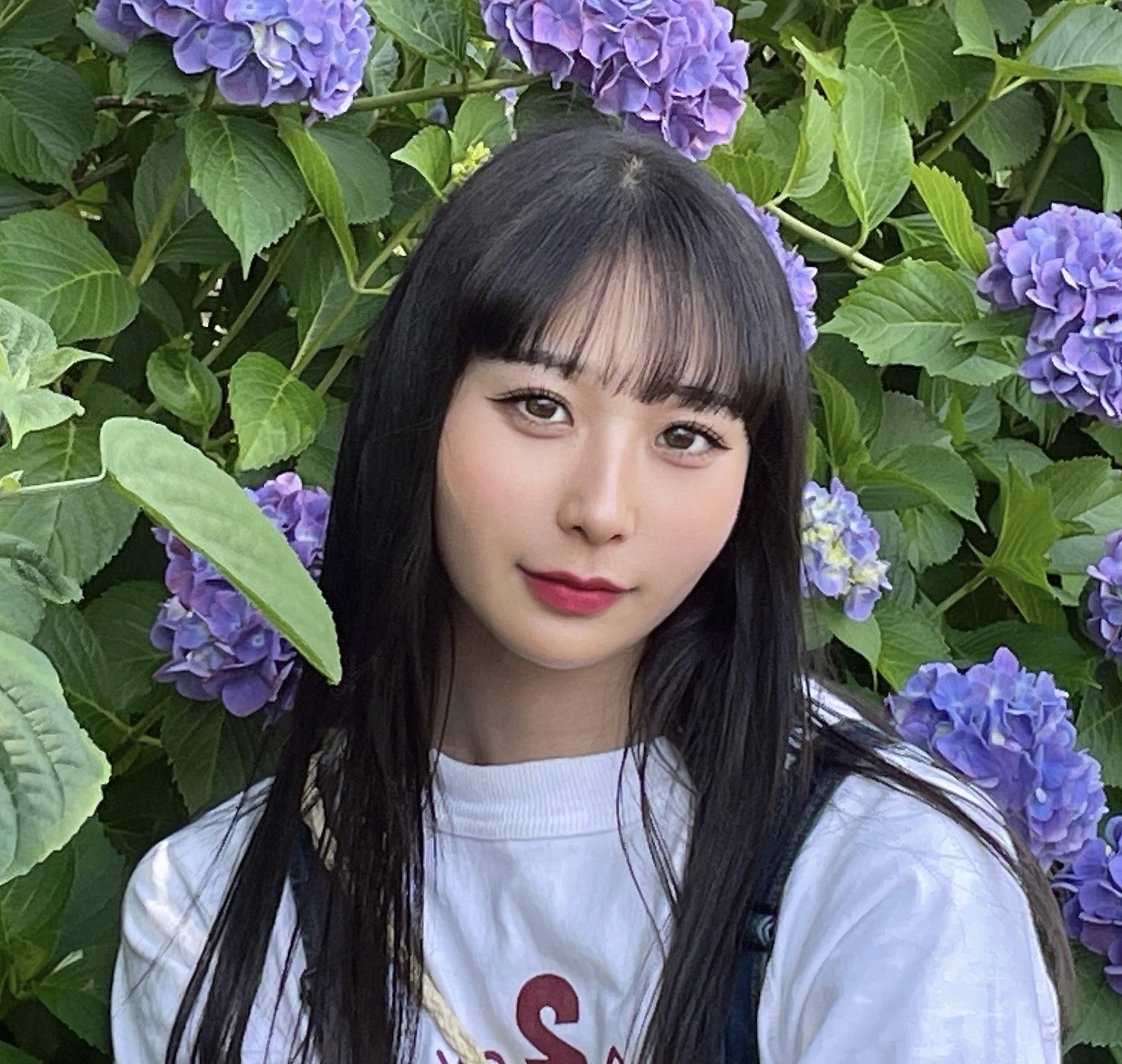 ひまわり