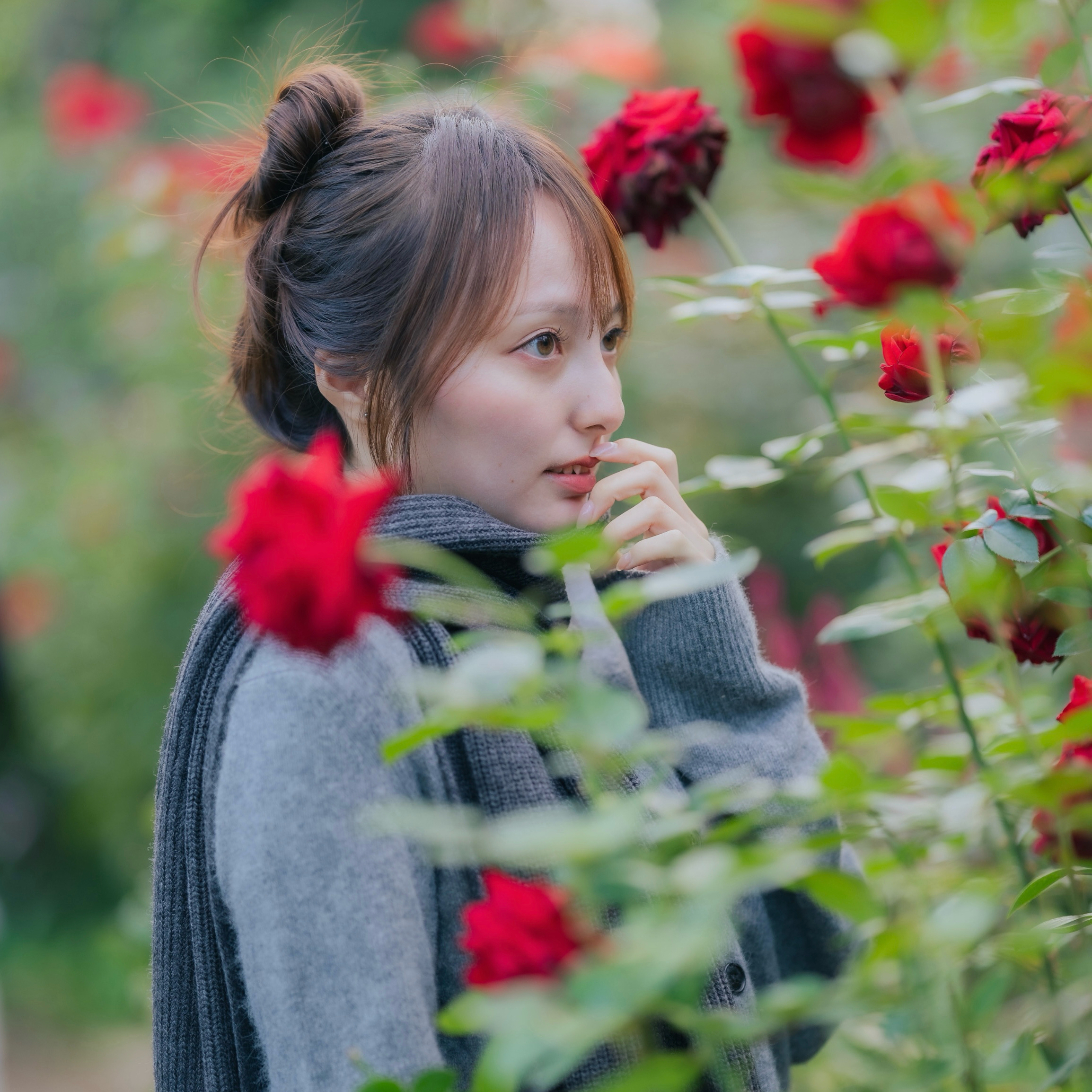 risa