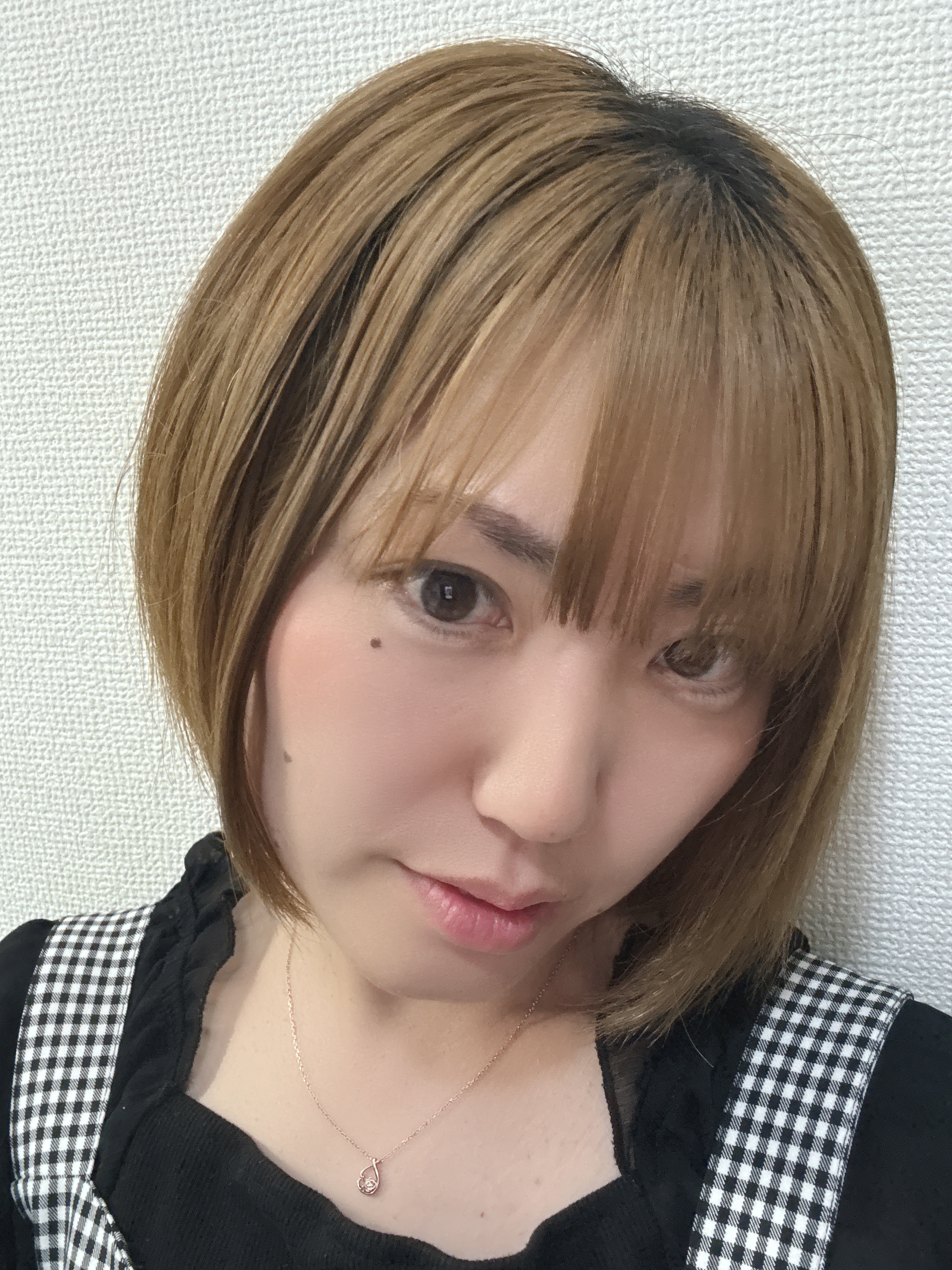 ぽんちゃん