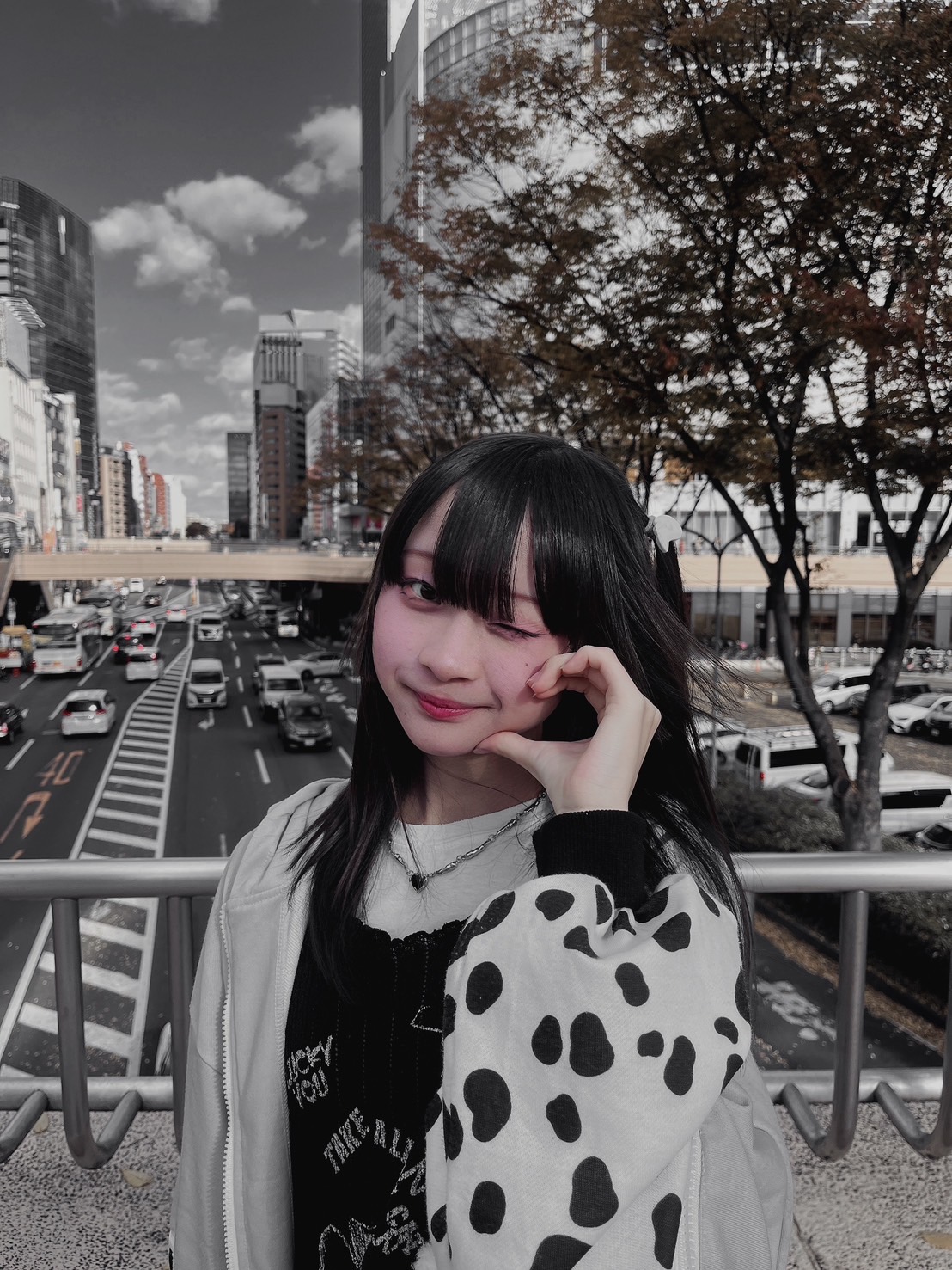 杏
