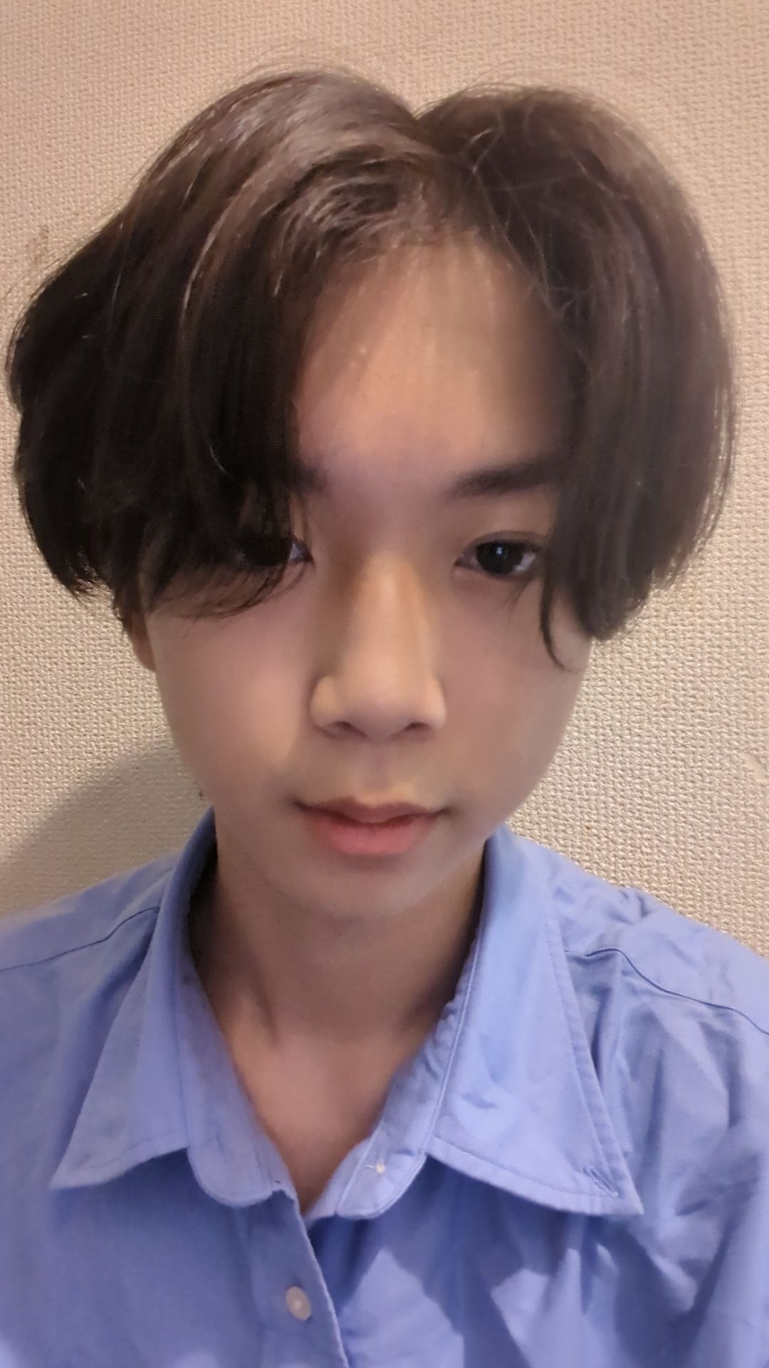 楓太