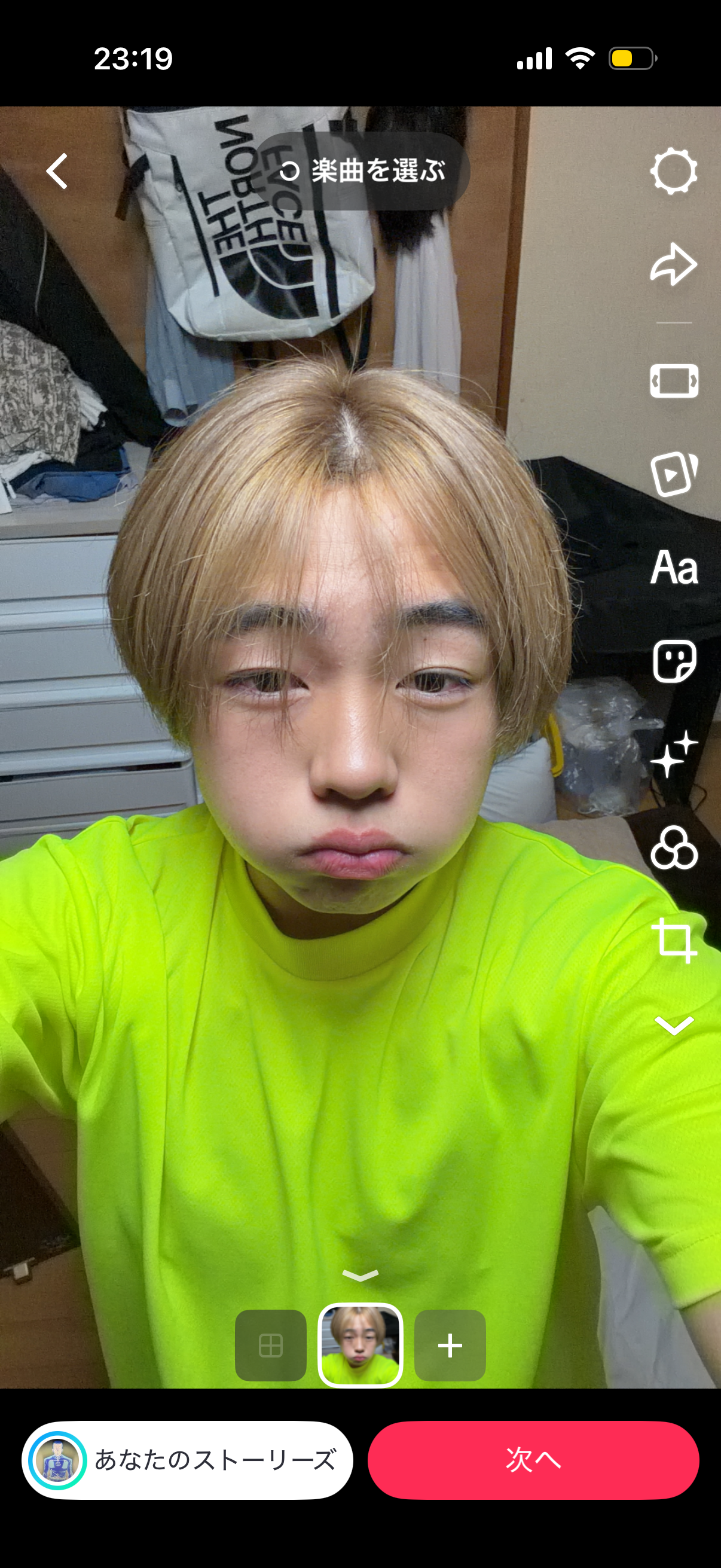 樹
