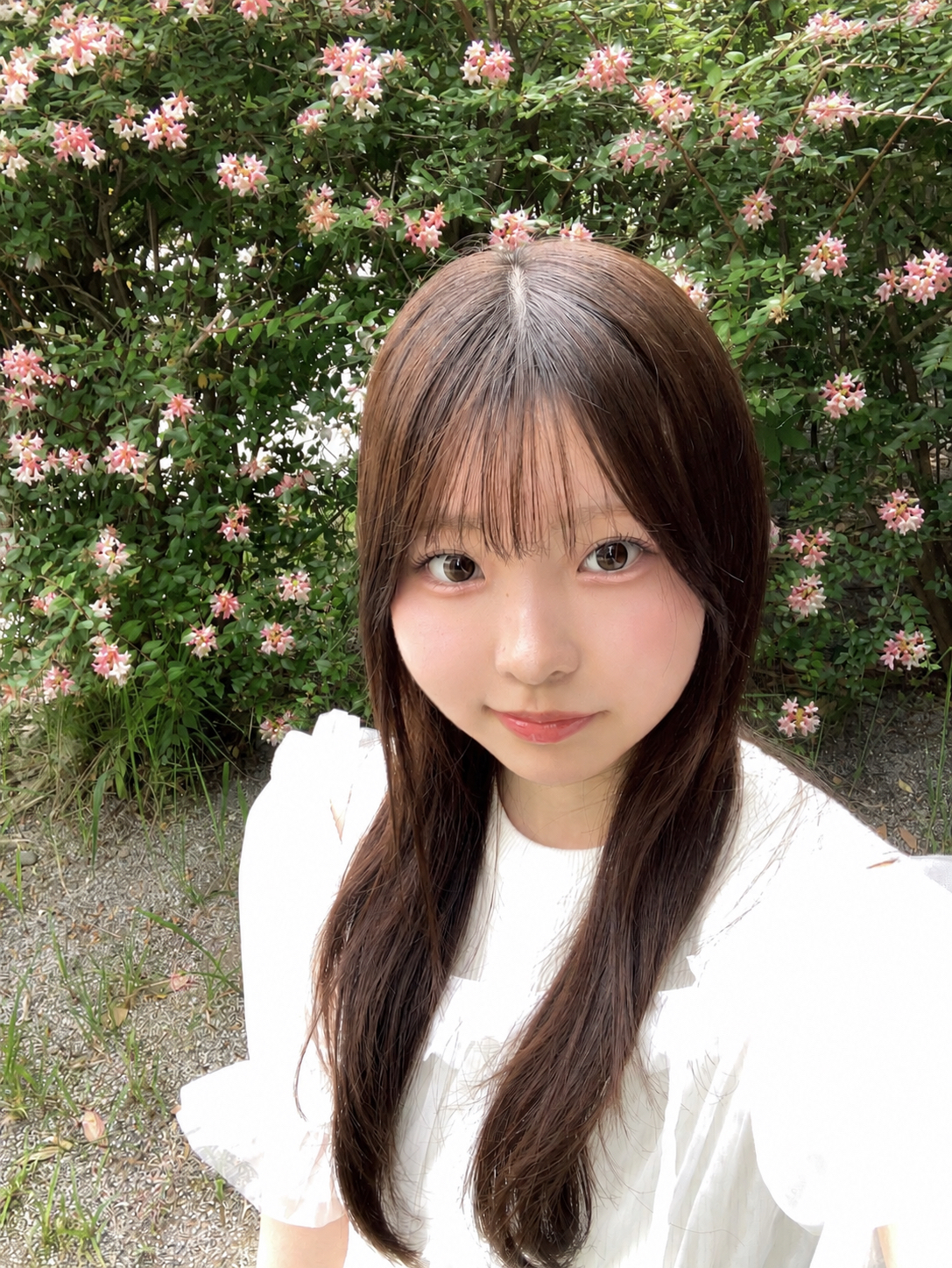 このか