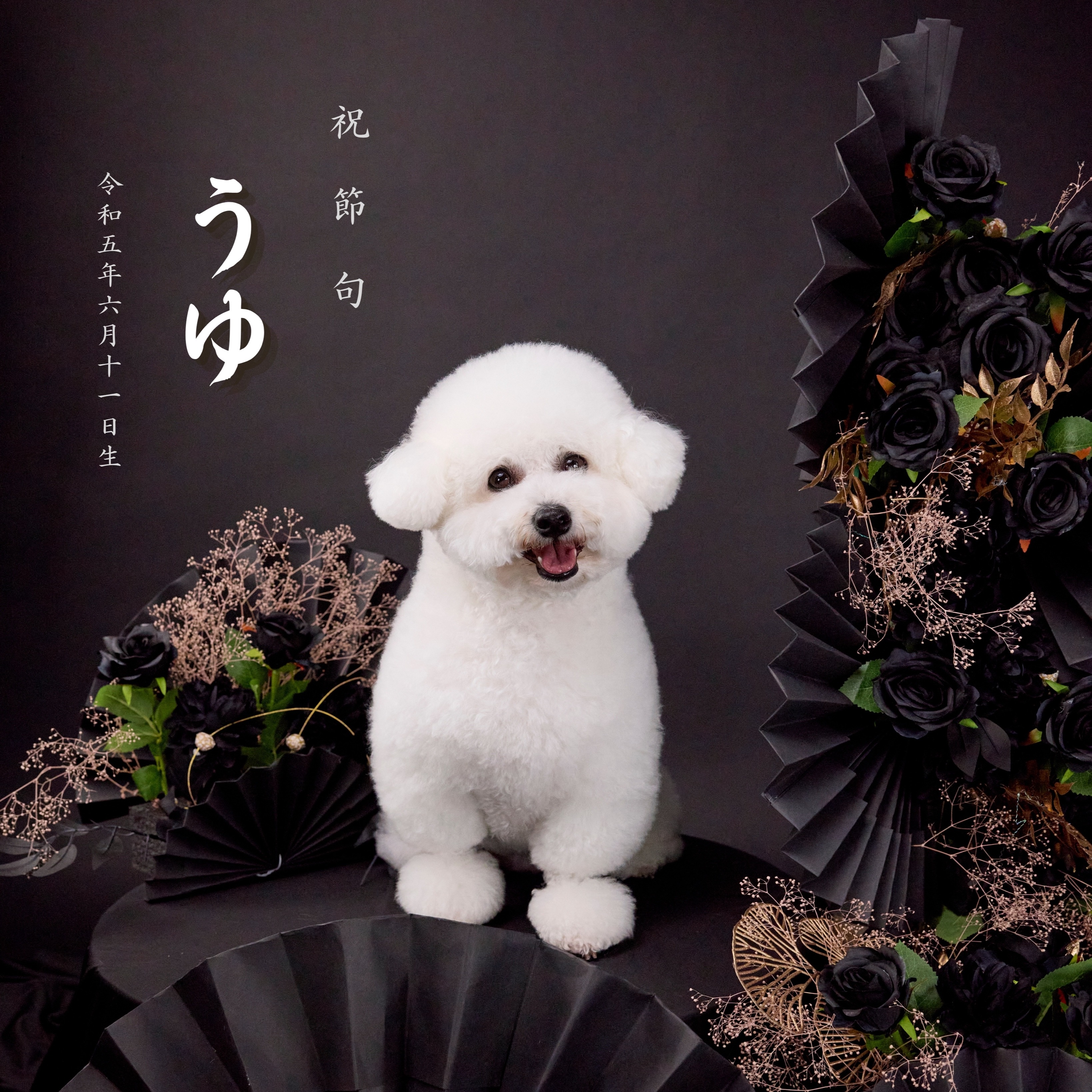 ウユママ