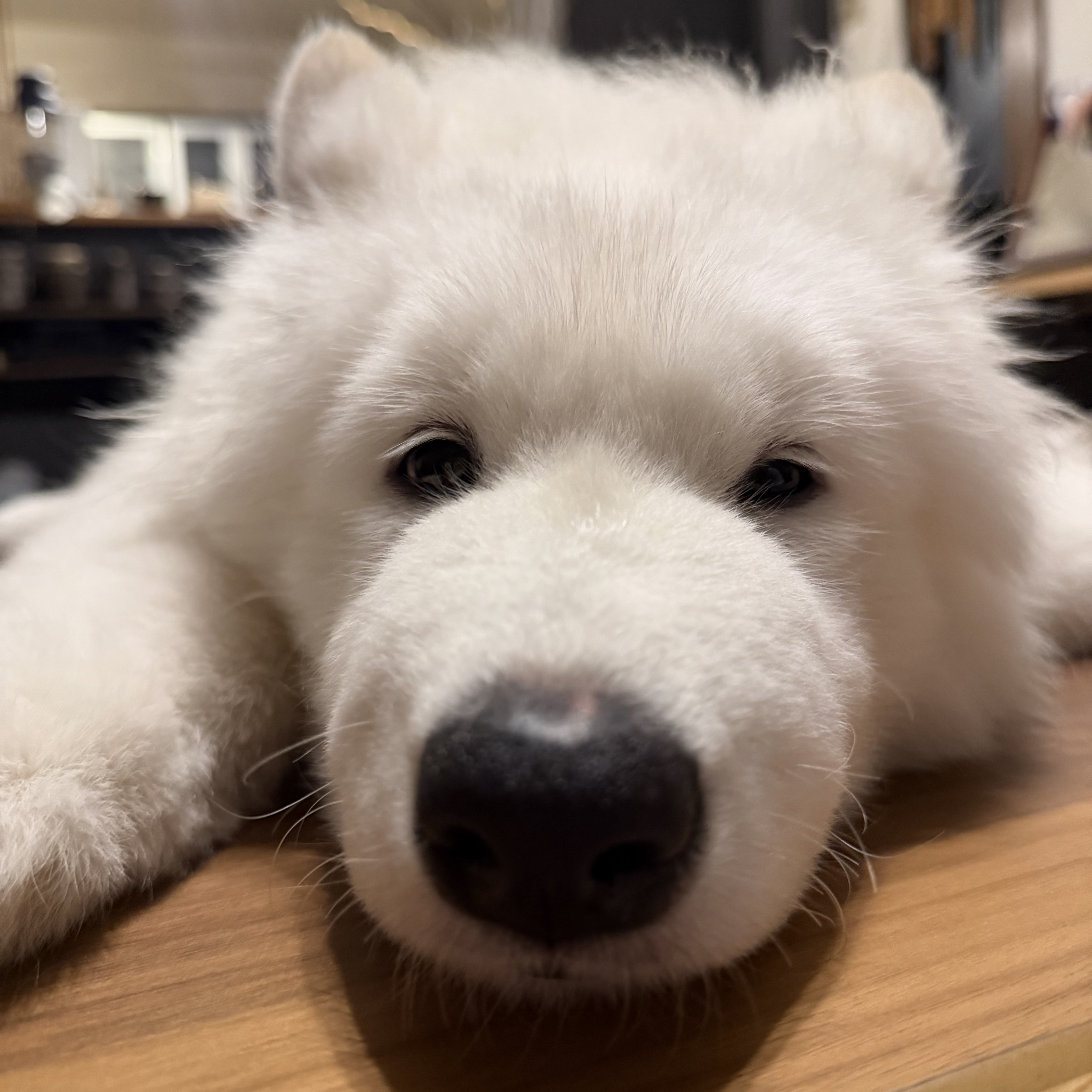 ちいこ