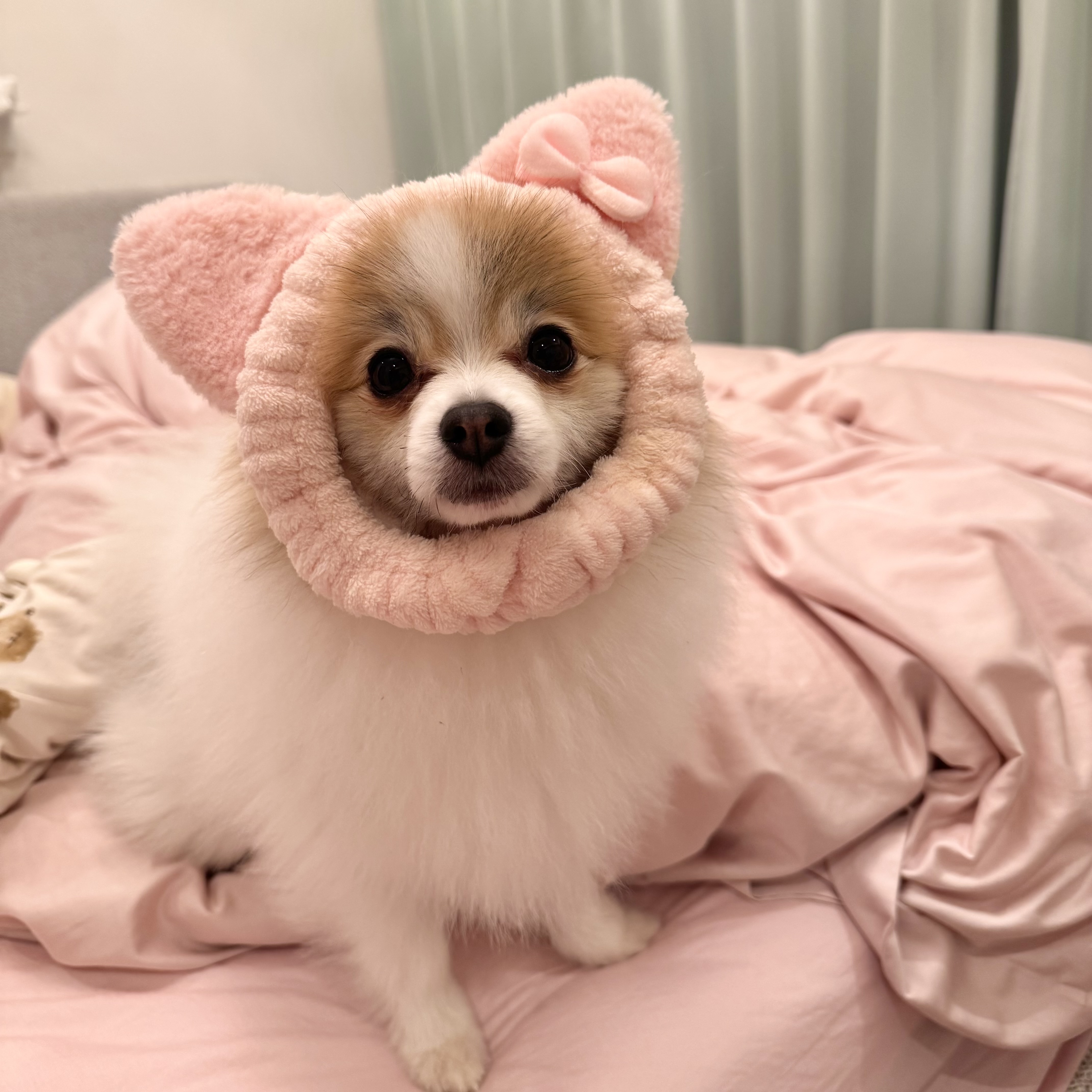 ぴの