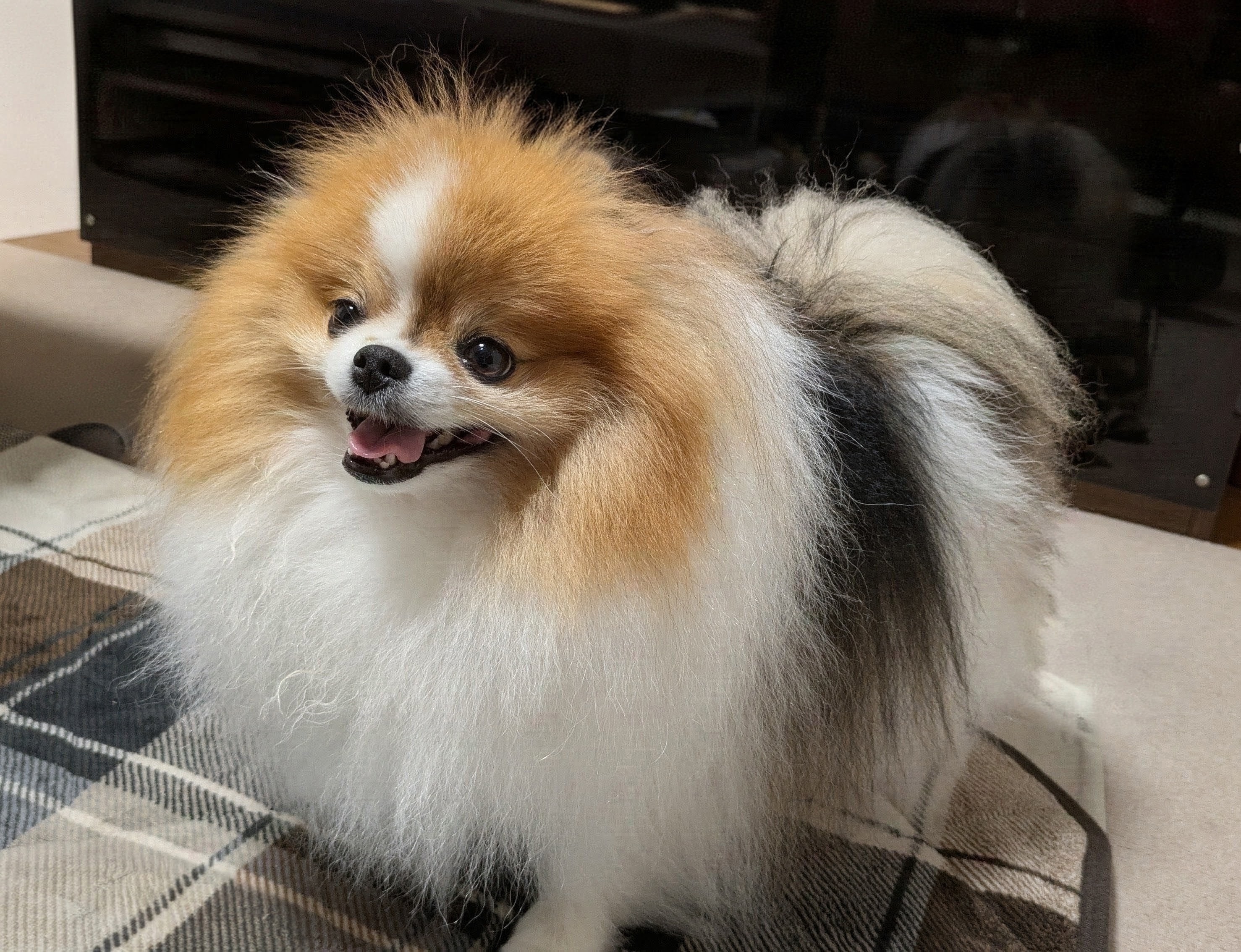 COSMO