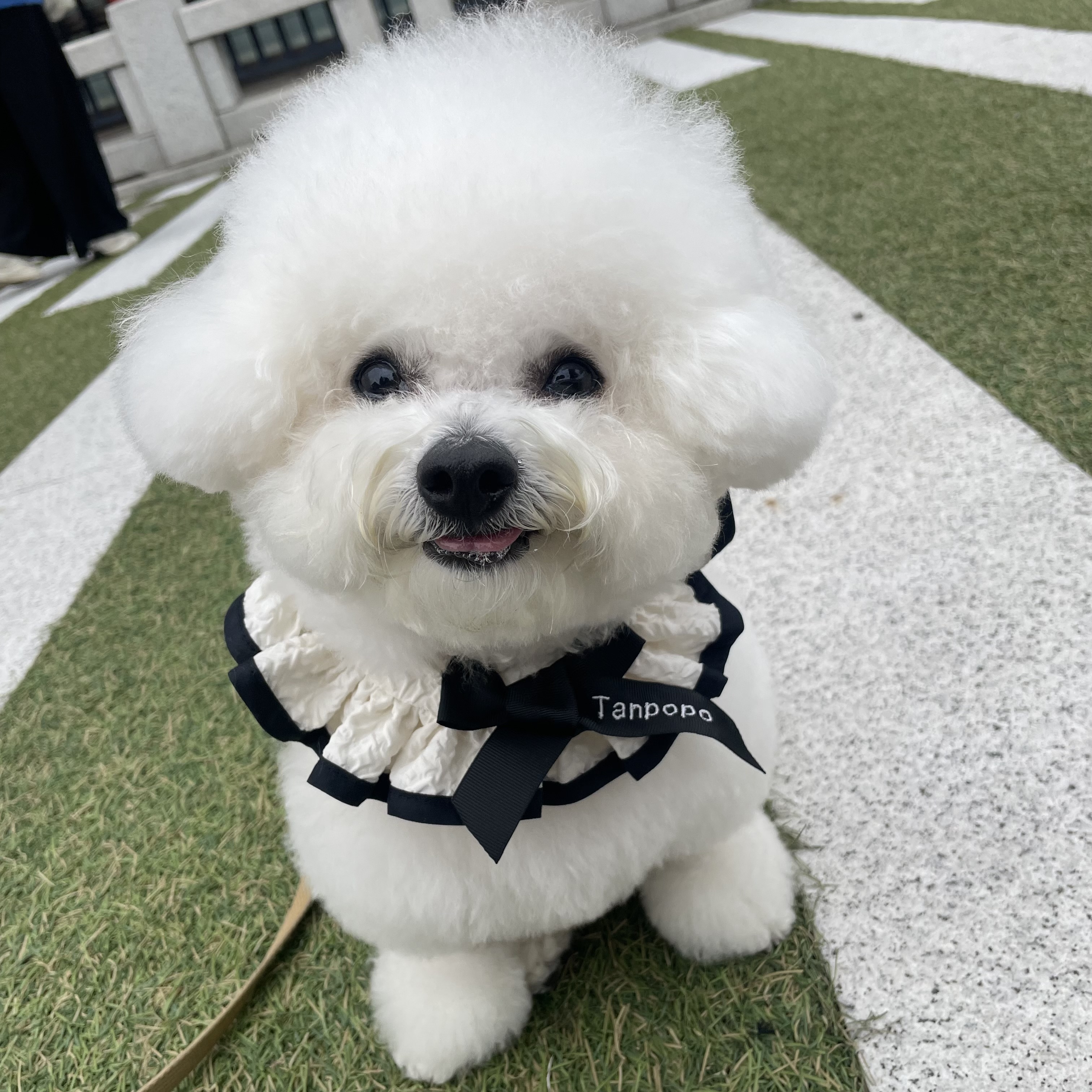 つ