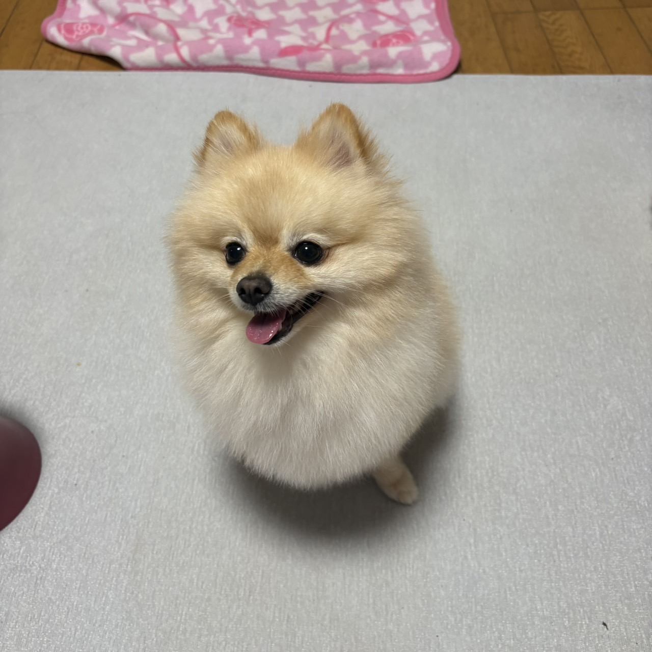 らいくん