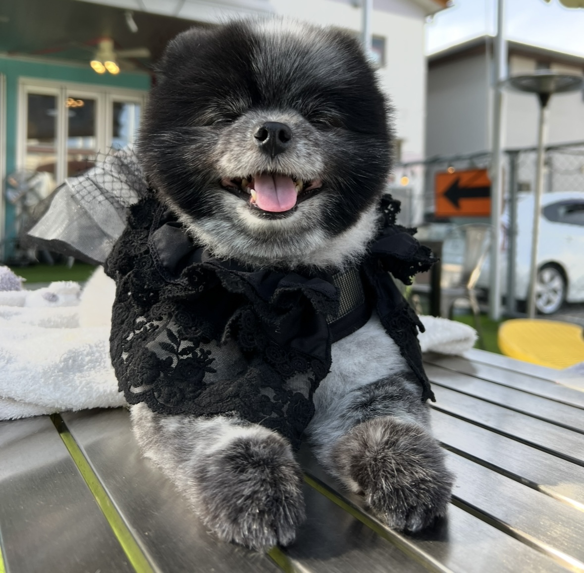 てぃてぃ