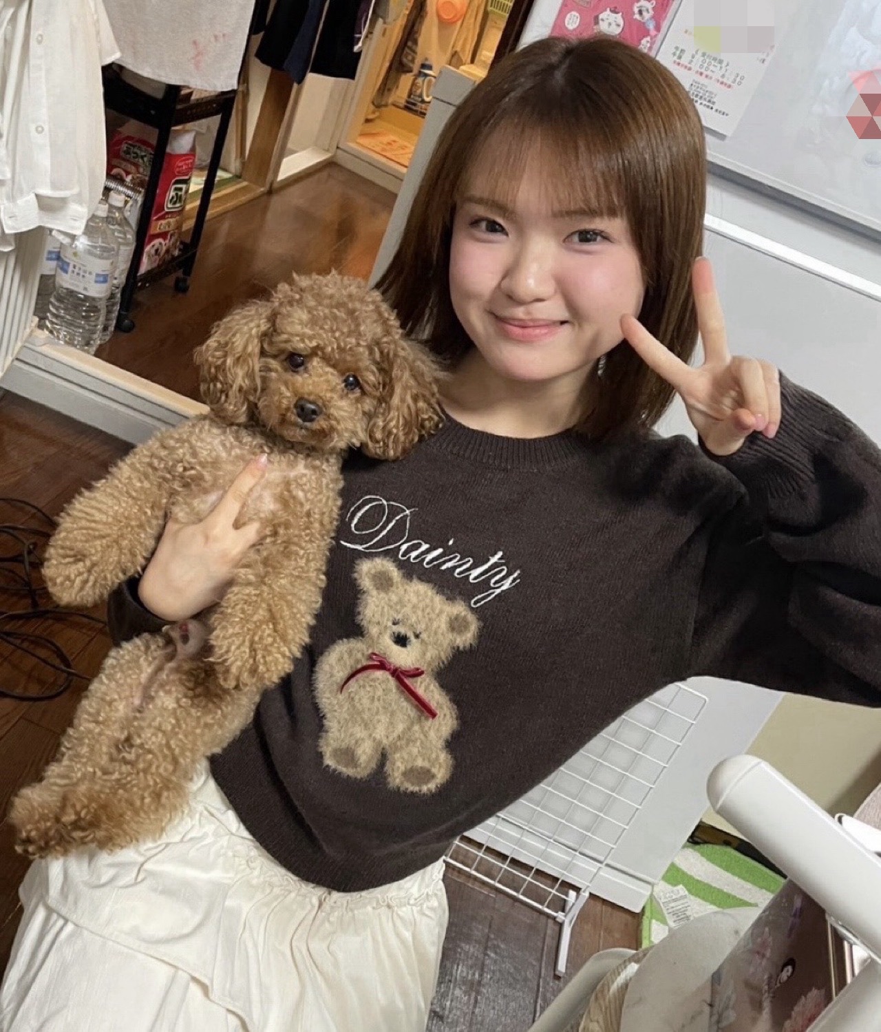 うちのちょこらが可愛すぎる