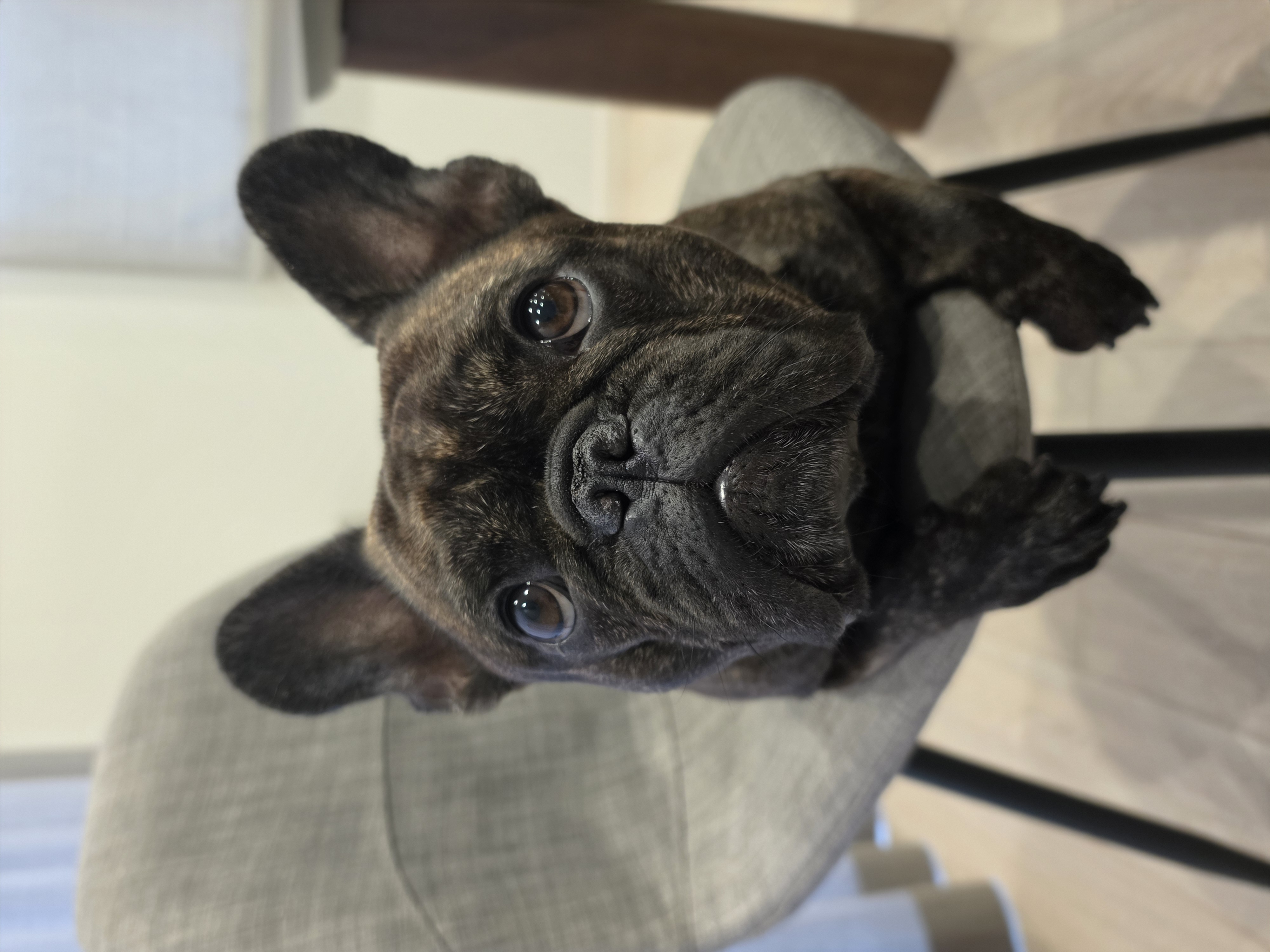 Koa♡