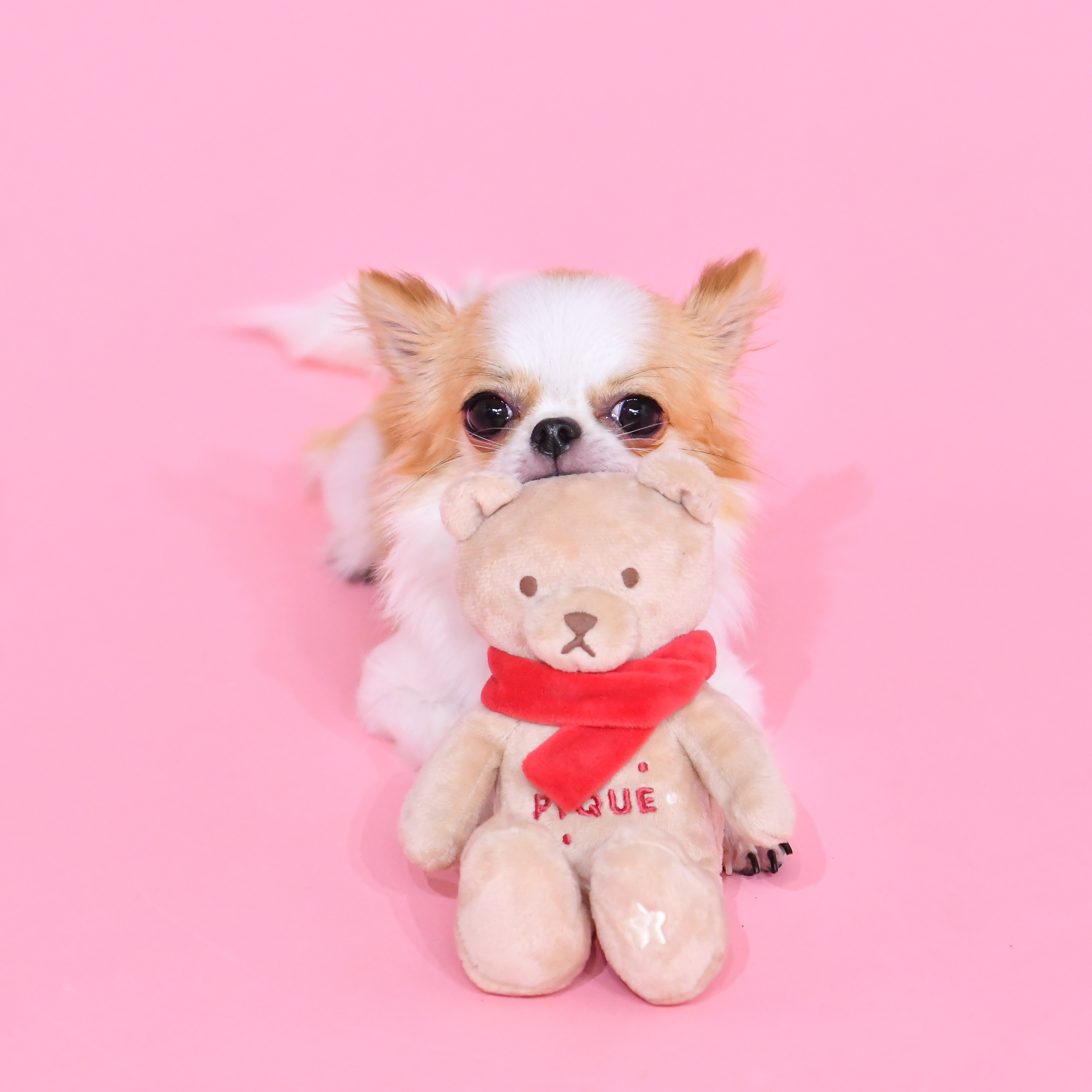 ビビりな兄じん×ちびっこ妹みこ