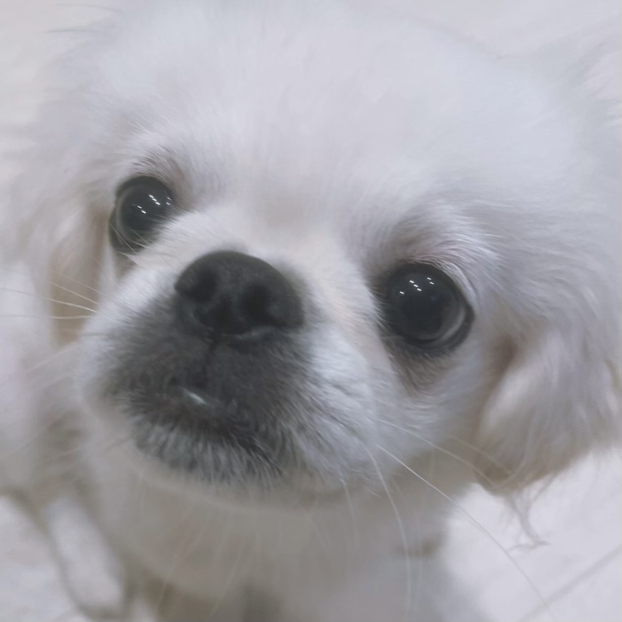 わさび