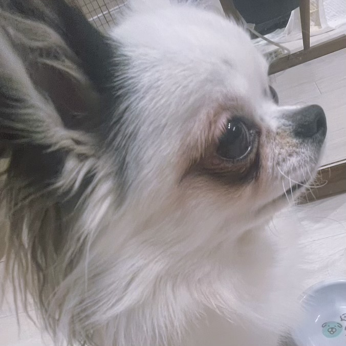 ポノ