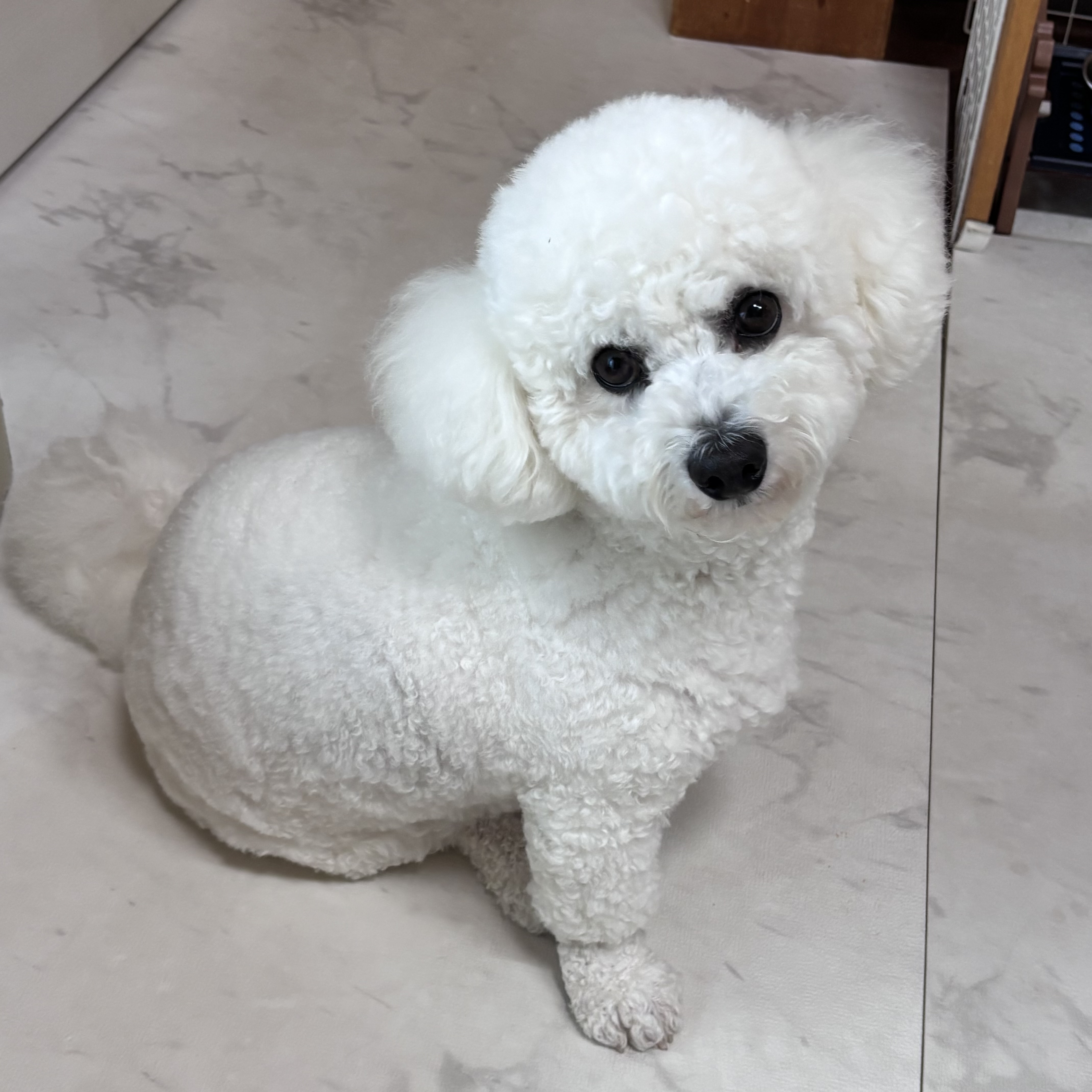 もこもこお
