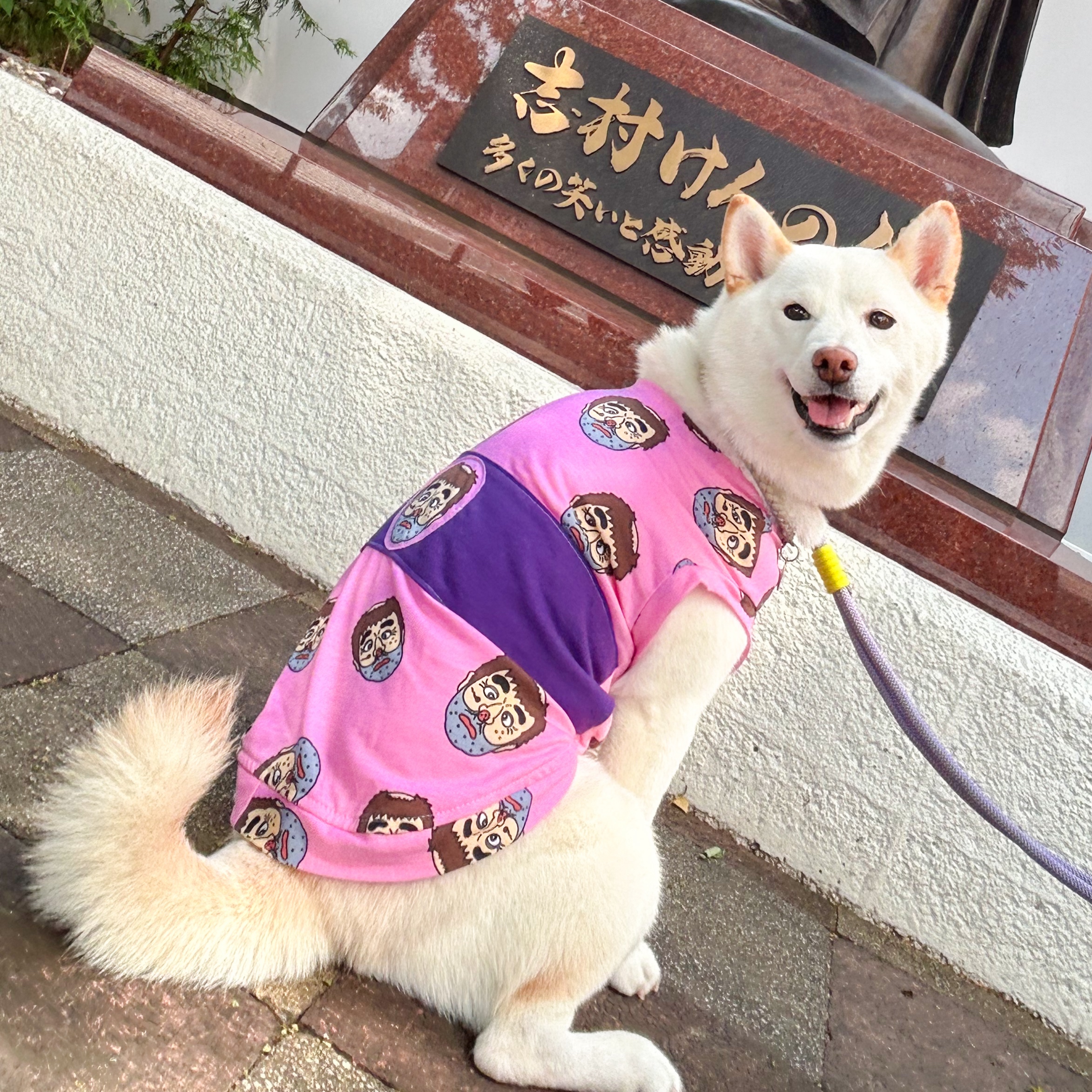 おもち