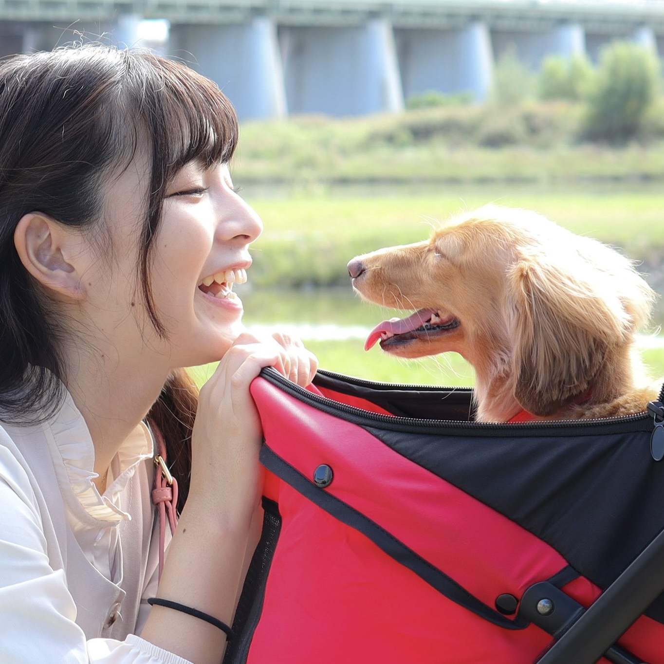 こはるとえるちん