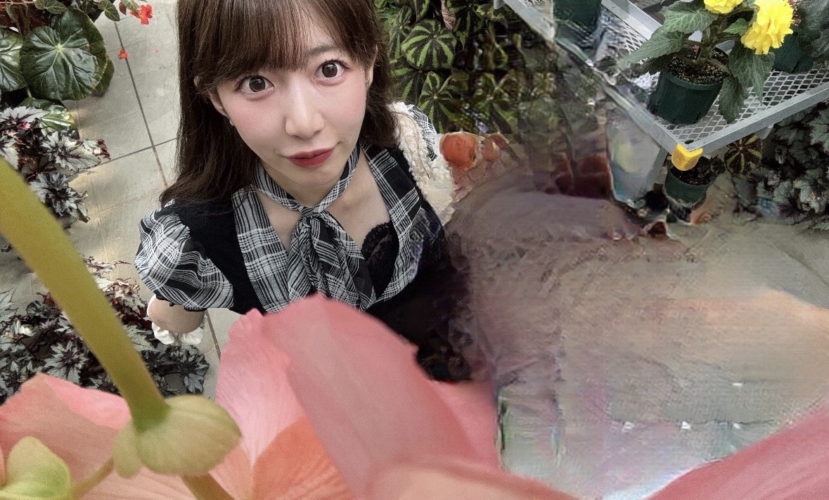 せいら🎀