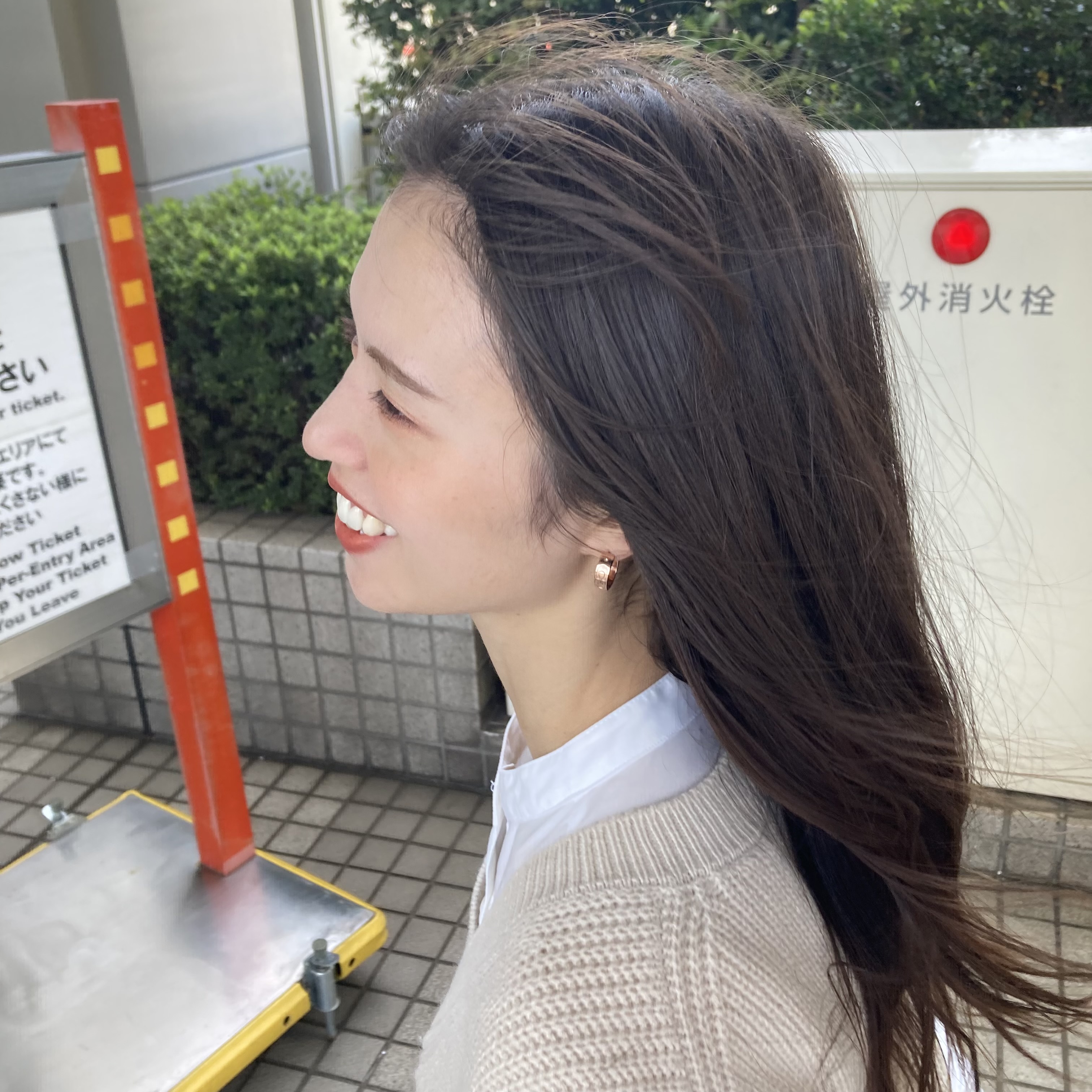 梨奈