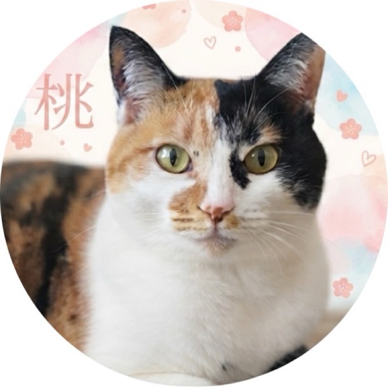 たく