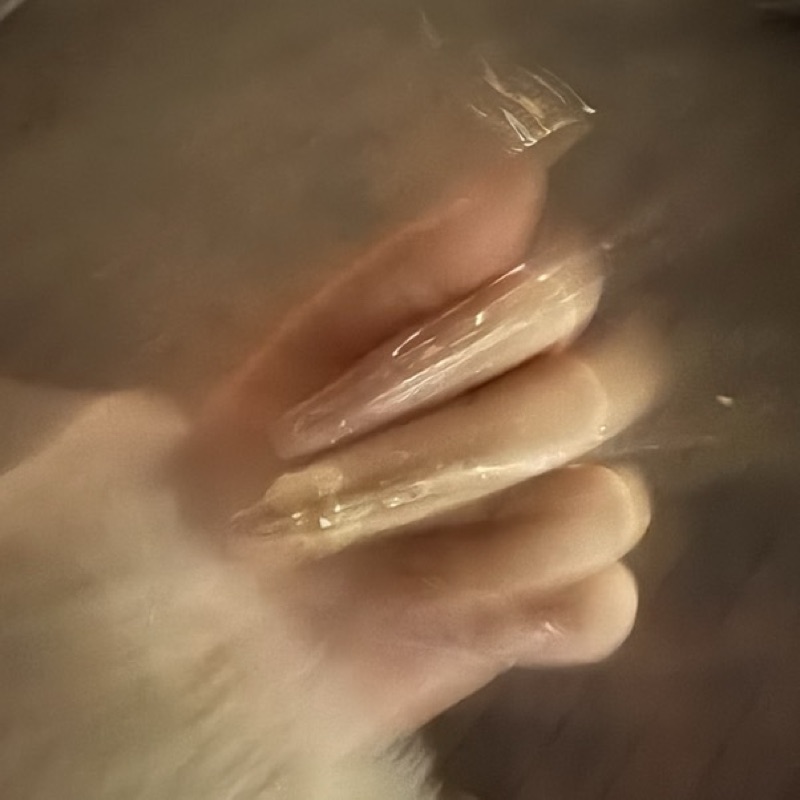 姫歩