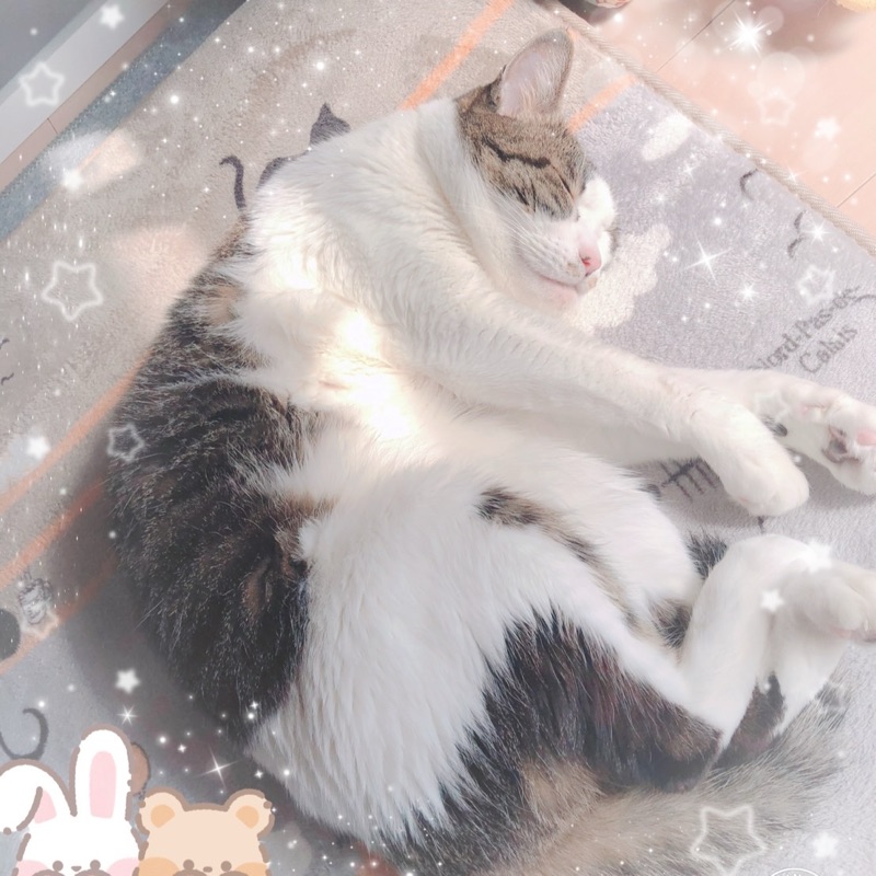 みさと