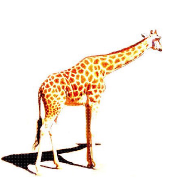 タムトモ