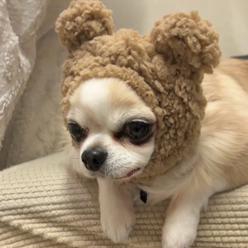 と