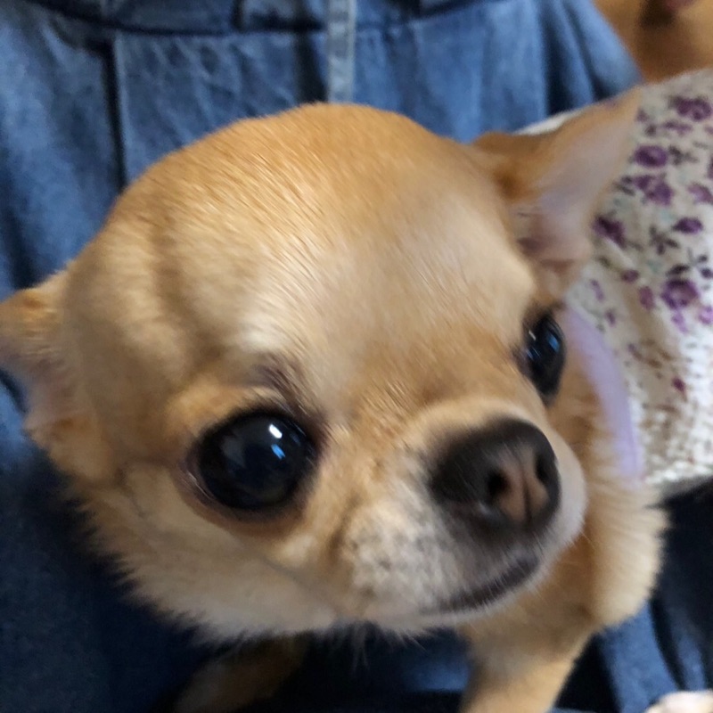 あやと