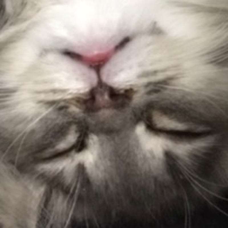 信