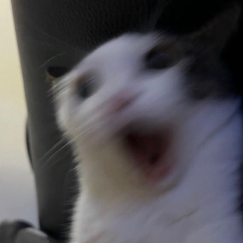 ひみこ