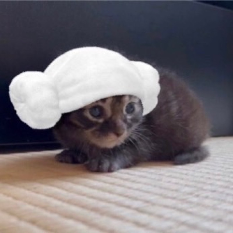 メリー