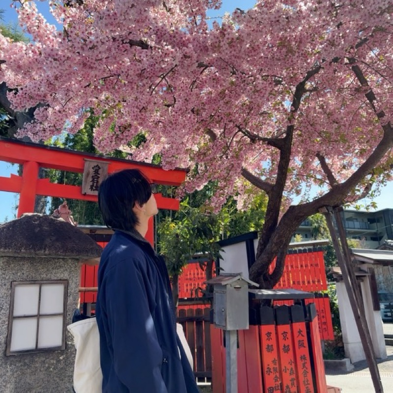 たくみ