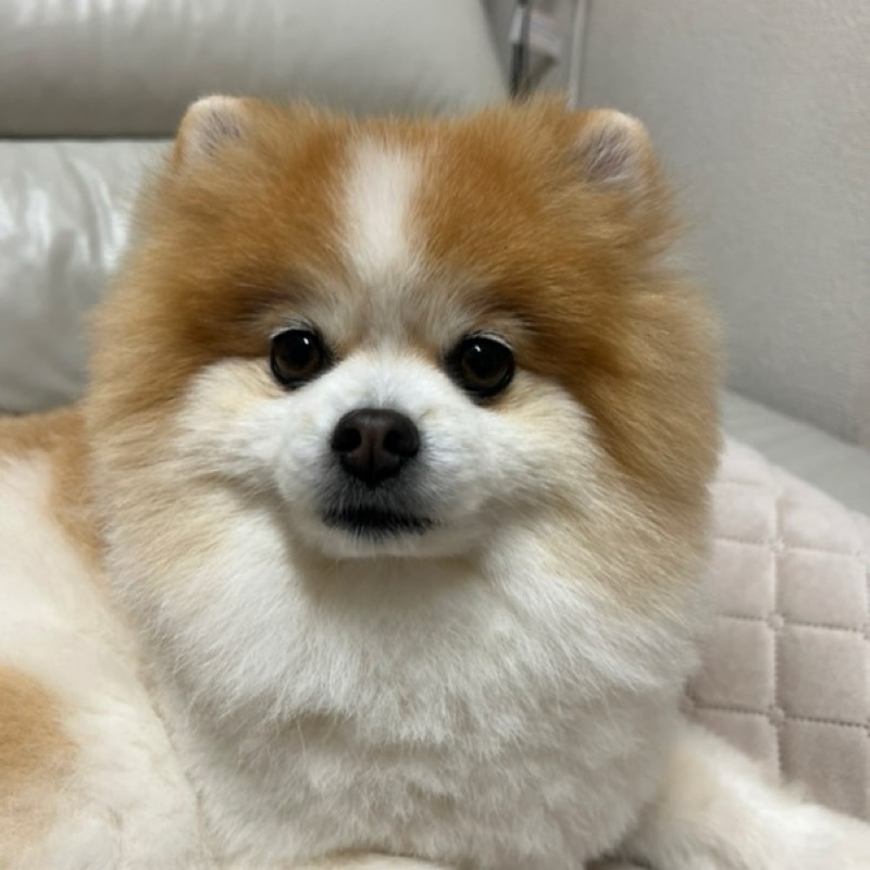 もっちゃん