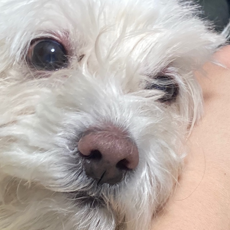 𝐫𝐢𝐧𝐤𝐚