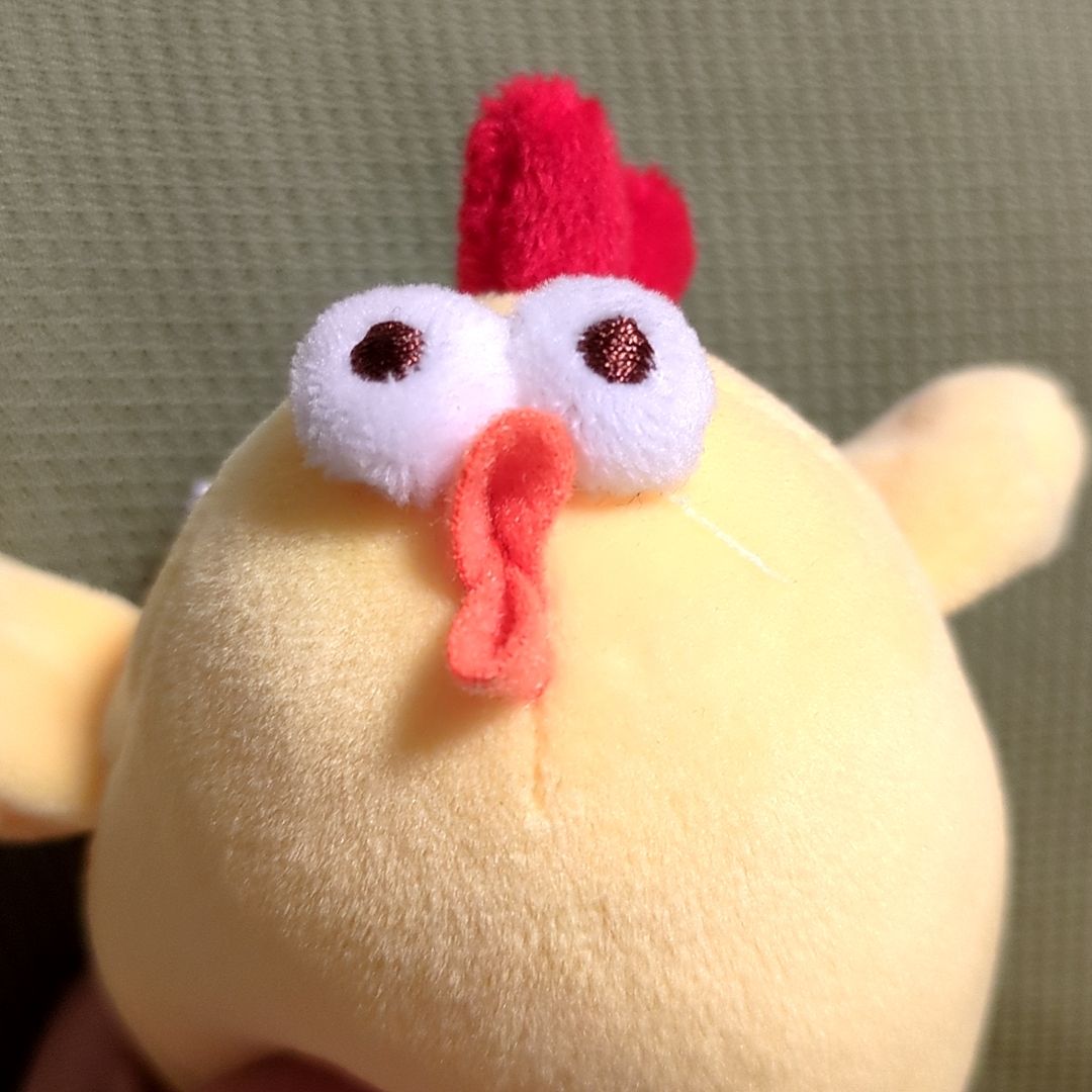 璃子🐥