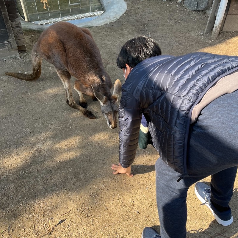 しゅんすけ@college