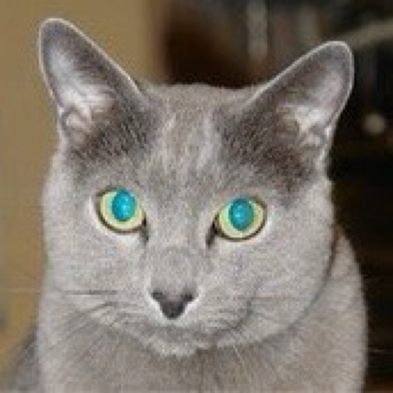 つぐひろ🥀🐈‍⬛❷